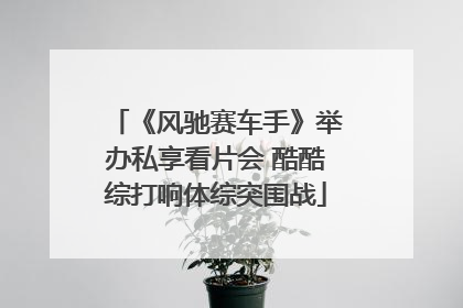 《风驰赛车手》举办私享看片会 酷酷综打响体综突围战