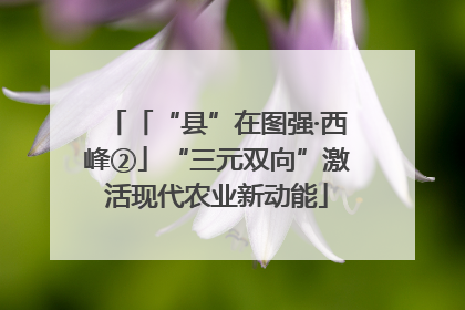 「“县”在图强·西峰②」“三元双向”激活现代农业新动能