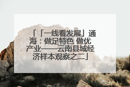 「一线看发展」通海：做足特色 做优产业——云南县域经济样本观察之二