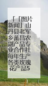 「图片新闻」山丹县老军乡蕃昌农副产品专业合作社每年生产各类玫瑰花产品500多吨