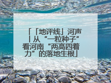 「地评线」河声丨从“一粒种子”看河南“两高四着力”的落地生根