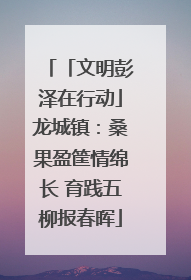 「文明彭泽在行动」龙城镇：桑果盈筐情绵长 育践五柳报春晖