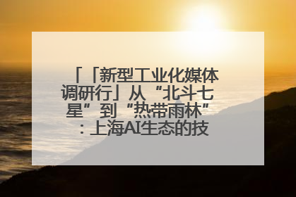 「新型工业化媒体调研行」从“北斗七星”到“热带雨林”：上海AI生态的技术商业共生密码
