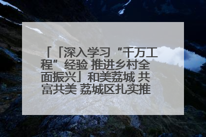 「深入学习“千万工程”经验 推进乡村全面振兴」和美荔城 共富共美 荔城区扎实推进乡村振兴工作