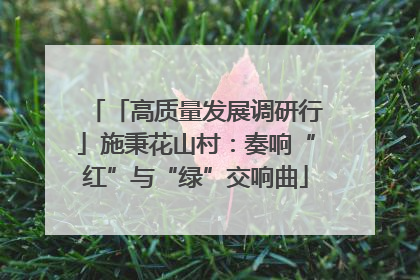 「高质量发展调研行」施秉花山村：奏响“红”与“绿”交响曲