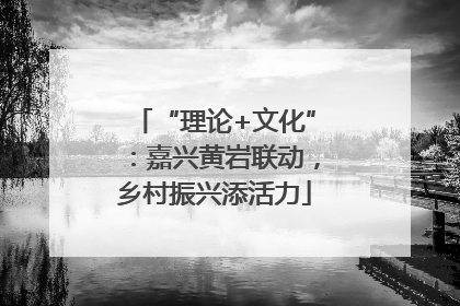 “理论+文化”：嘉兴黄岩联动，乡村振兴添活力