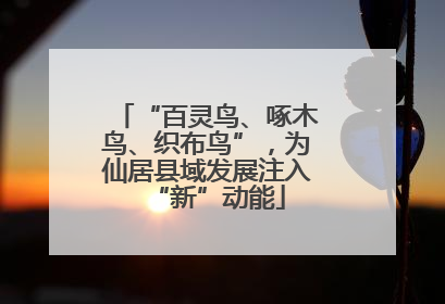“百灵鸟、啄木鸟、织布鸟”，为仙居县域发展注入“新”动能