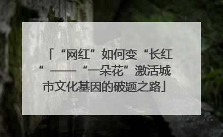 “网红”如何变“长红”——“一朵花”激活城市文化基因的破题之路
