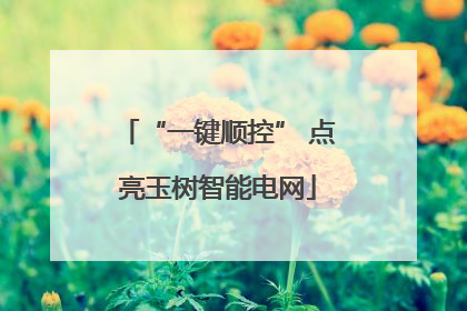 “一键顺控” 点亮玉树智能电网