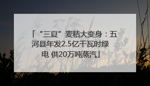 “三夏”麦秸大变身：五河县年发2.5亿千瓦时绿电 供20万吨蒸汽