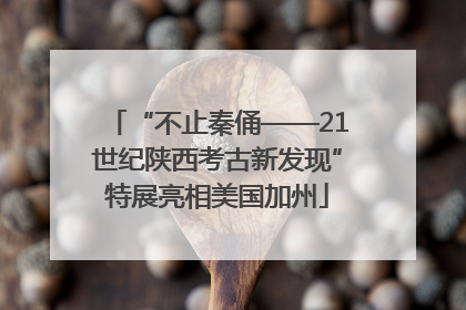 “不止秦俑——21世纪陕西考古新发现”特展亮相美国加州