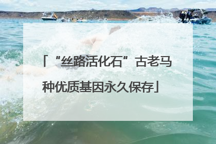 “丝路活化石”古老马种优质基因永久保存