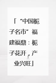 “中国栀子名市”福建福鼎：栀子花开，产业兴旺