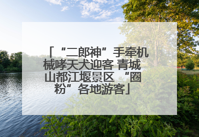 “二郎神”手牵机械哮天犬迎客 青城山都江堰景区 “圈粉”各地游客
