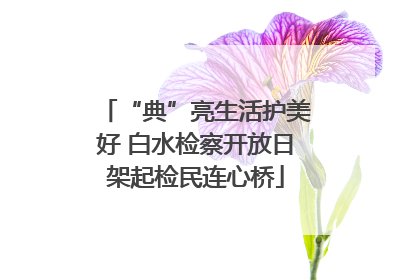 “典”亮生活护美好 白水检察开放日架起检民连心桥