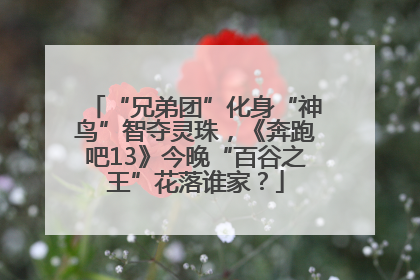 “兄弟团”化身“神鸟”智夺灵珠，《奔跑吧13》今晚“百谷之王”花落谁家？