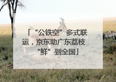 “公铁空”多式联运，京东助广东荔枝“鲜”到全国
