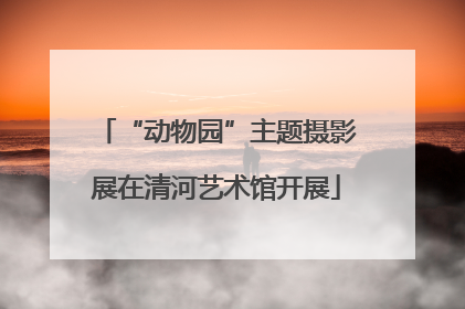 “动物园”主题摄影展在清河艺术馆开展