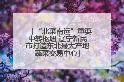 “北菜南运”重要中转枢纽 辽宁新民市打造东北最大产地蔬菜交易中心
