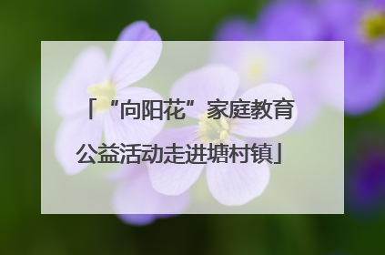 “向阳花”家庭教育公益活动走进塘村镇