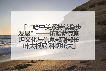 “哈中关系持续稳步发展”——访哈萨克斯坦文化与信息部副部长叶夫根尼·科切托夫