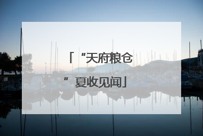 “天府粮仓”夏收见闻