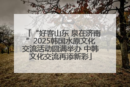 “好客山东 泉在济南”2025韩国水原文化交流活动圆满举办 中韩文化交流再添新彩