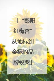 “彭阳红梅杏”从地标到金标的品牌蜕变
