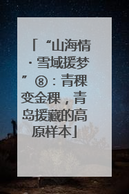 “山海情・雪域援梦”⑧：青稞变金稞，青岛援藏的高原样本