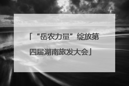 “岳农力量”绽放第四届湖南旅发大会