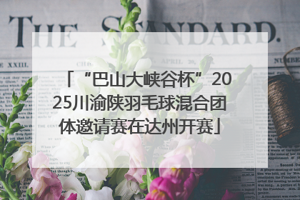 “巴山大峡谷杯”2025川渝陕羽毛球混合团体邀请赛在达州开赛