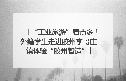 “工业旅游”看点多！外籍学生走进胶州李哥庄镇体验“胶州智造”