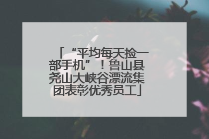 “平均每天捡一部手机”！鲁山县尧山大峡谷漂流集团表彰优秀员工
