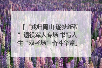 “戎归禺山·逐梦新程”退役军人专场 书写人生“双考场”奋斗华章