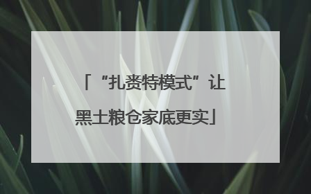 “扎赉特模式”让黑土粮仓家底更实