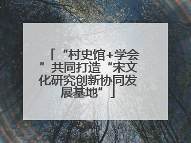 “村史馆+学会”共同打造“宋文化研究创新协同发展基地”