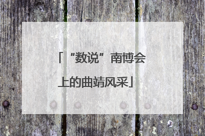 “数说”南博会上的曲靖风采