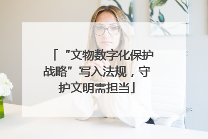 “文物数字化保护战略”写入法规，守护文明需担当