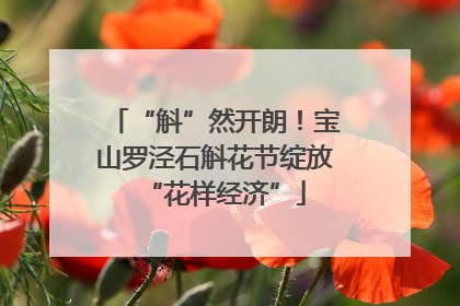 “斛”然开朗！宝山罗泾石斛花节绽放“花样经济”