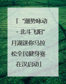 “潮势咏动・北斗飞阳”月湖迷你马拉松全民健身赛在汉启动