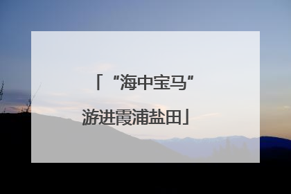 “海中宝马”游进霞浦盐田