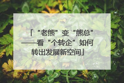 “老熊”变“熊总”——看“个转企”如何转出发展新空间