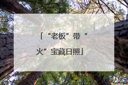 “老板”带“火”宝藏日照