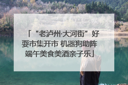 “老泸州·大河街”好耍市集开市 机器狗助阵端午美食美酒亲子乐