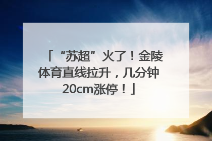 “苏超”火了！金陵体育直线拉升，几分钟20cm涨停！