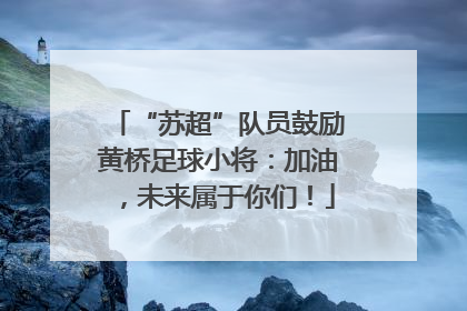 “苏超”队员鼓励黄桥足球小将：加油，未来属于你们！