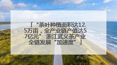 “茶叶种植面积达12.5万亩，全产业链产值达57亿元” 浙江武义茶产业全链发展“加速度”