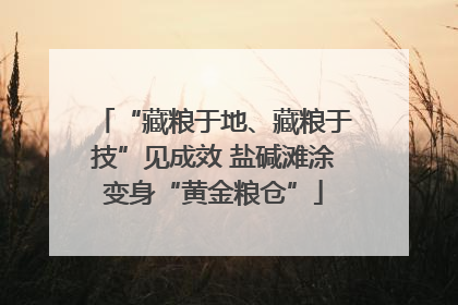“藏粮于地、藏粮于技”见成效 盐碱滩涂变身“黄金粮仓”