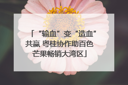 “输血”变“造血”共赢 粤桂协作助百色芒果畅销大湾区