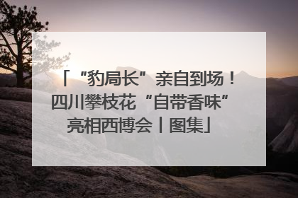 “豹局长”亲自到场！四川攀枝花“自带香味”亮相西博会丨图集